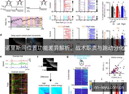 诺里斯同位置功能差异解析，战术职责与跑动分化